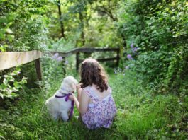Den lette guide til at få gjort din hundehvalp renlig