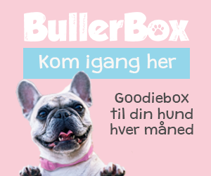 hvorfor spiser min hund ikke hvorfor spiser min hund ikke