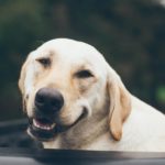 jonathan-daniels-CdVG9f96kyg-unsplash