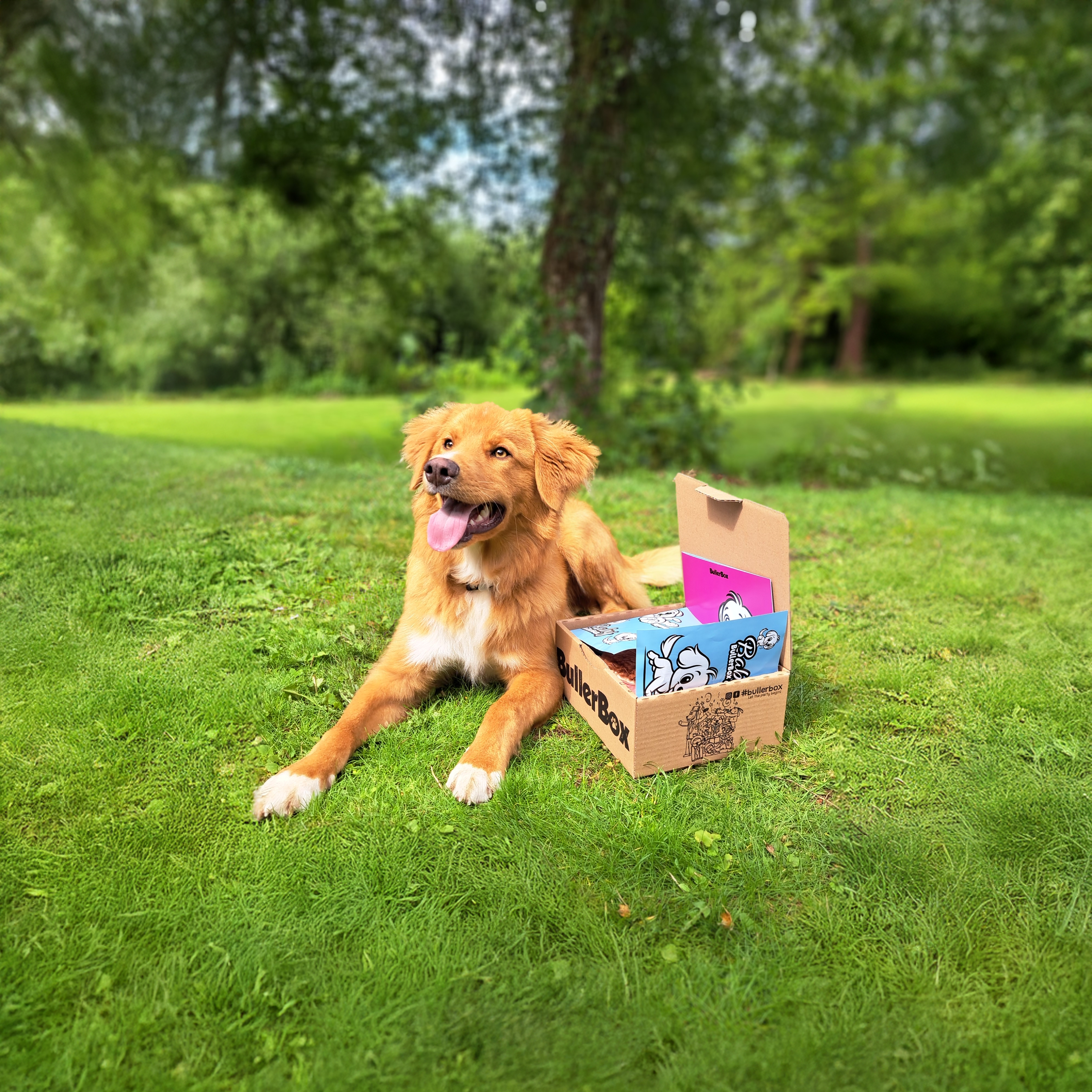 Banuuk Baby BullerBox 20250713 150315