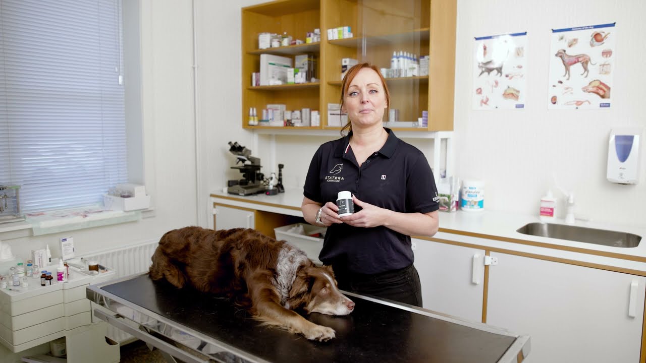 Statera Dogcare Calm Daily tilhund 01