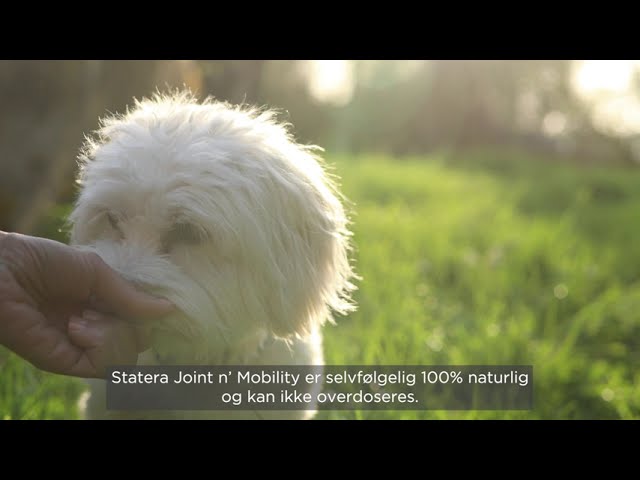 Statera Dogcare Joint n Mobility til hunde 01
