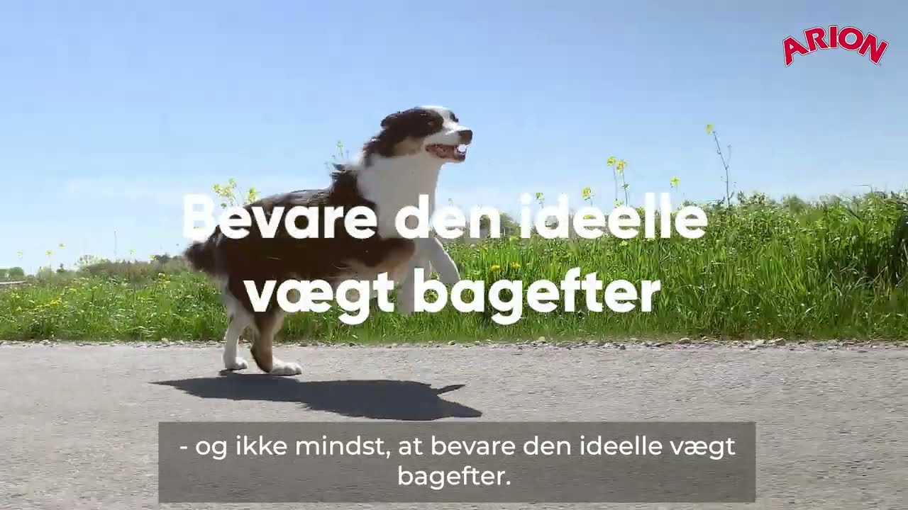 ArionOriginal lightallbreed Hundefoder 1224348