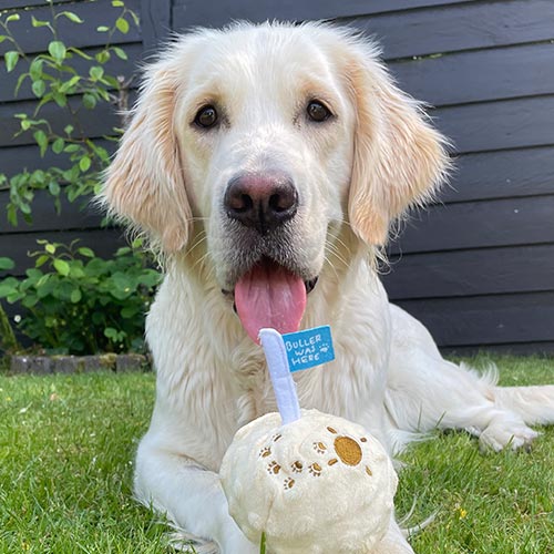 hundelegetoej tilfredshedsgaranti