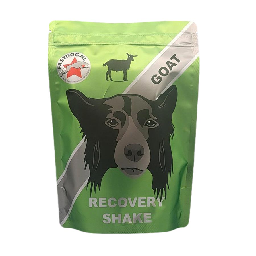 FastDog Recovery Ged