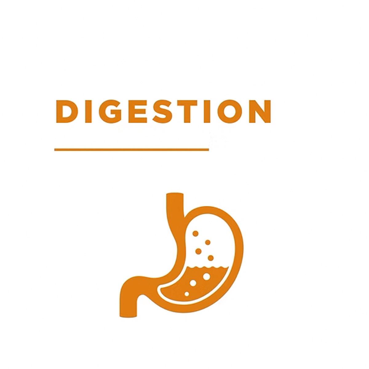 Statera Dogcare Instant Diastop til hund 01