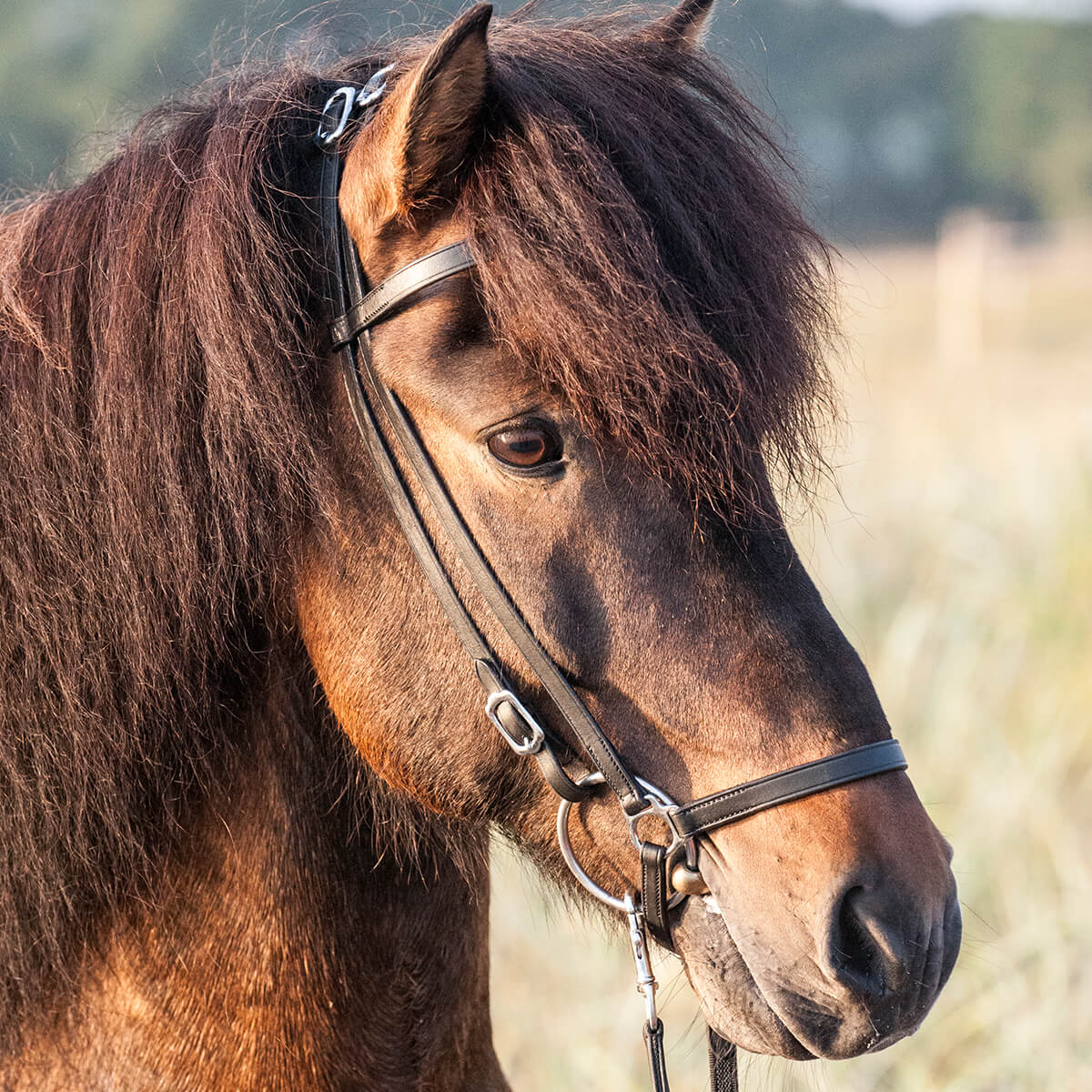 CATAGO Islændertrense | Sort str. Cob