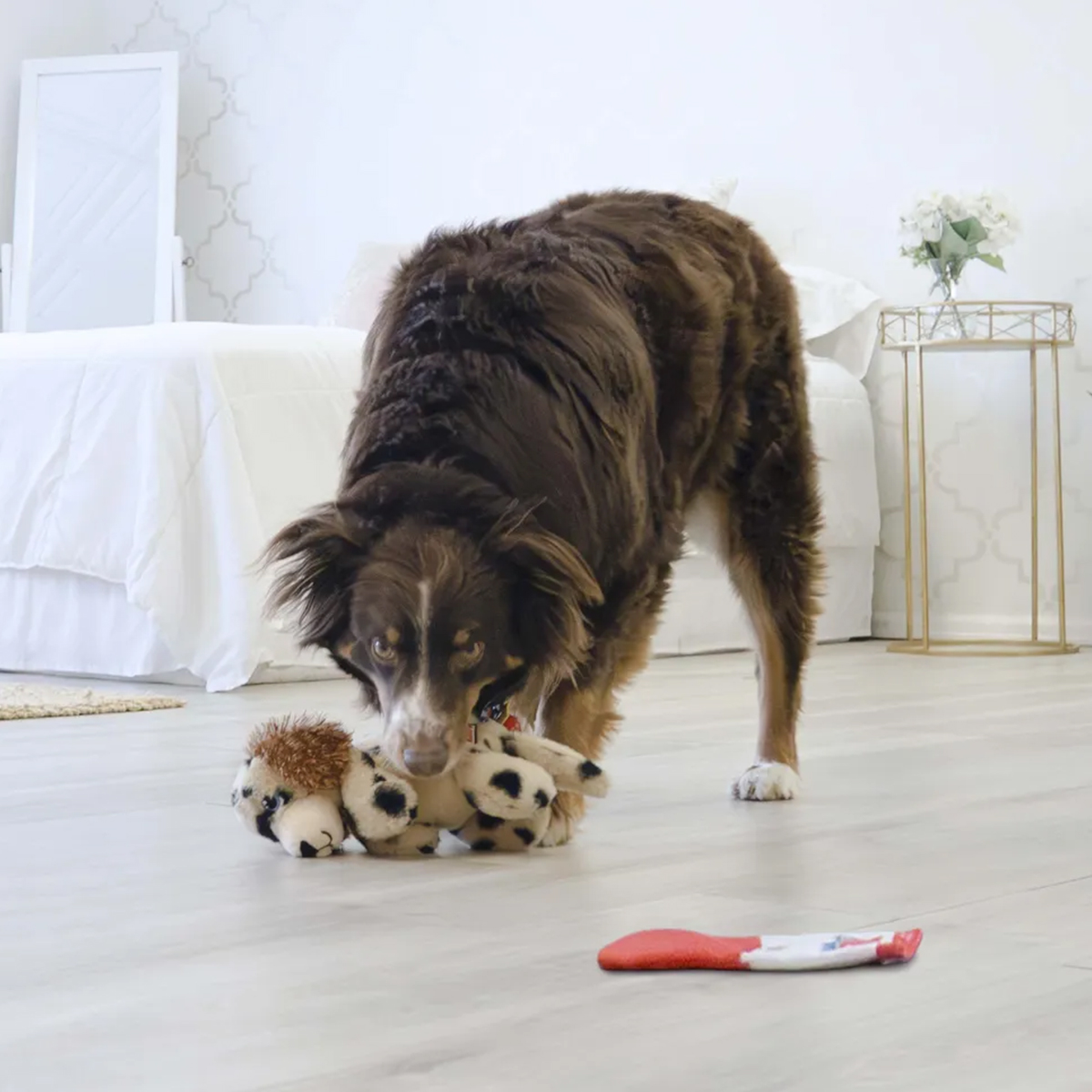 Kong Comfort Spot Bamse 01