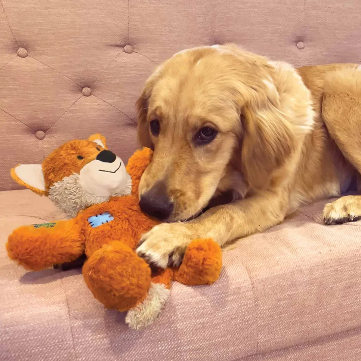 KONG Wild knots raev 01