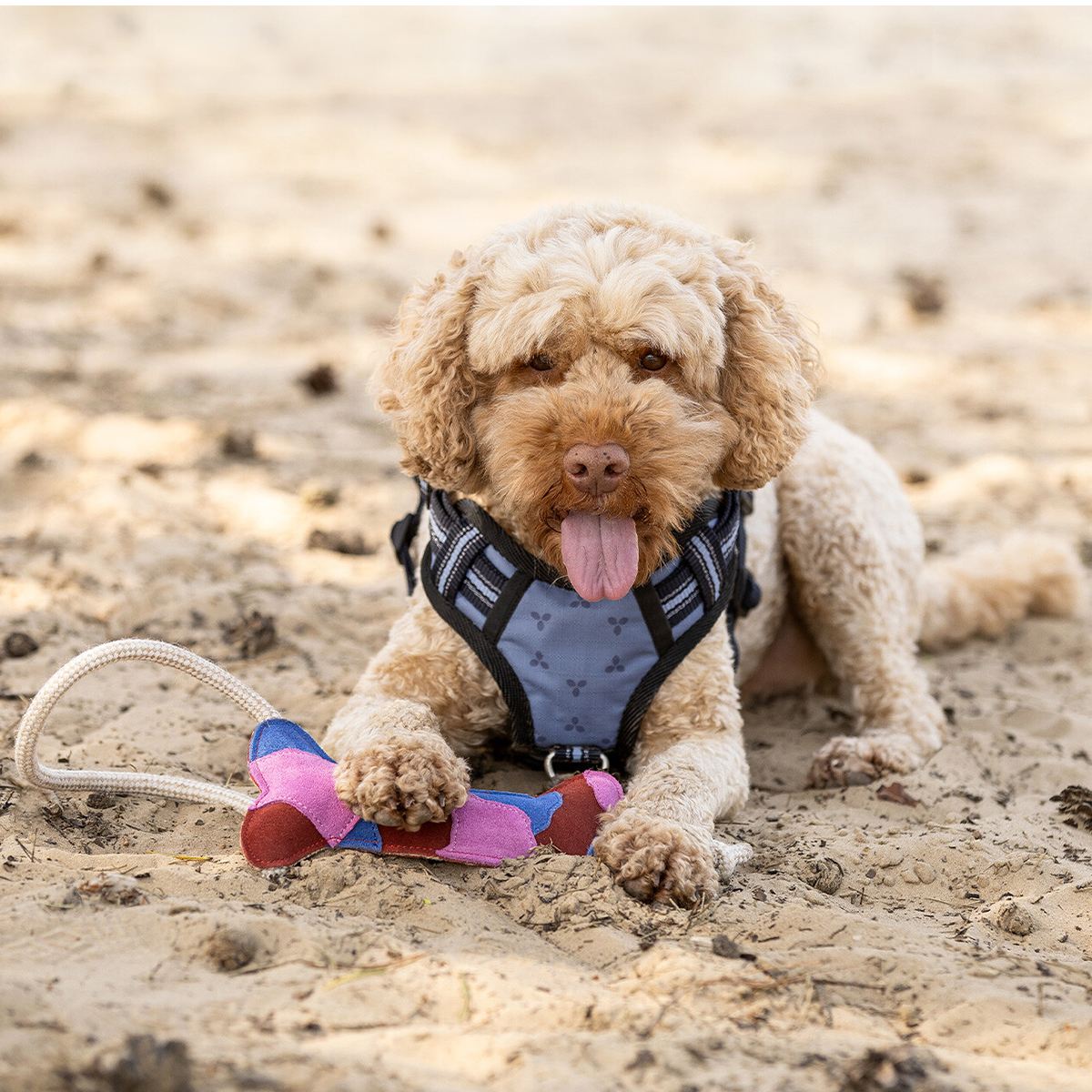 Hundelegetoej i naturmaterialer 01