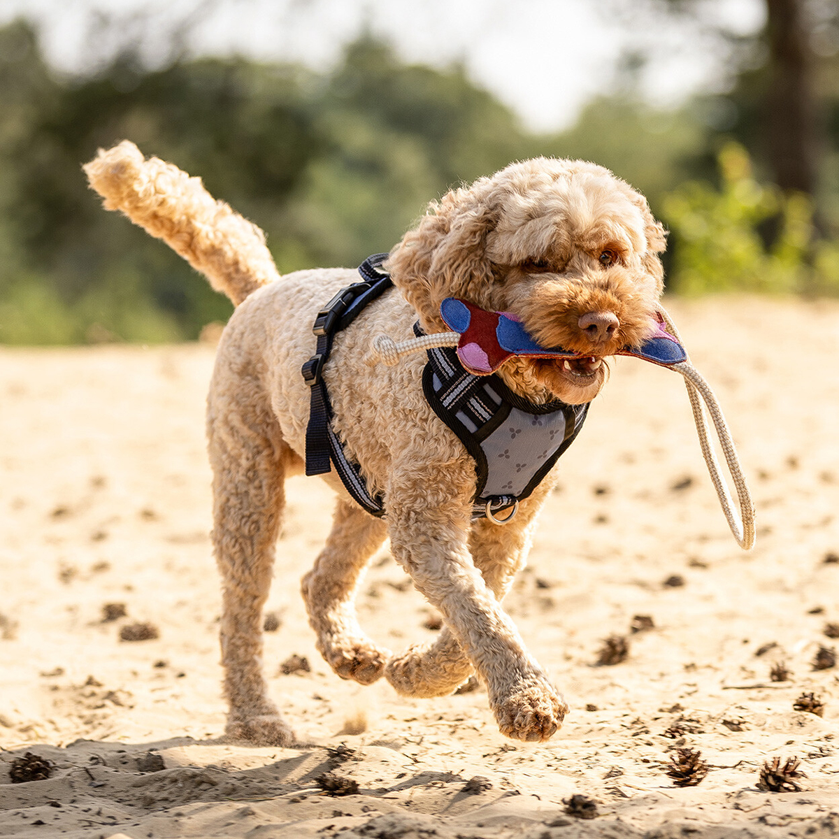 Hundelegetoej i naturmaterialer 01