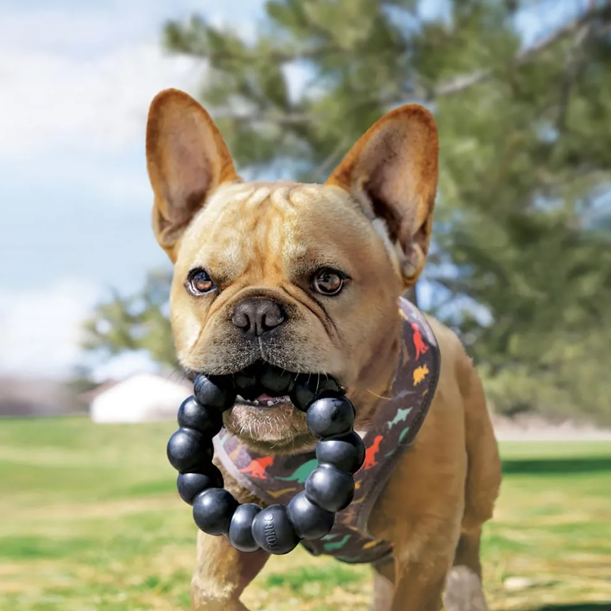 Kong Extreme ring XL 01