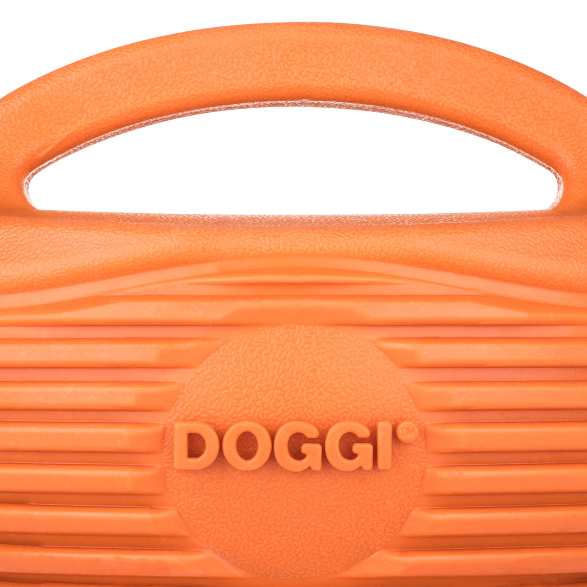 DOGGI Rugby bold 01