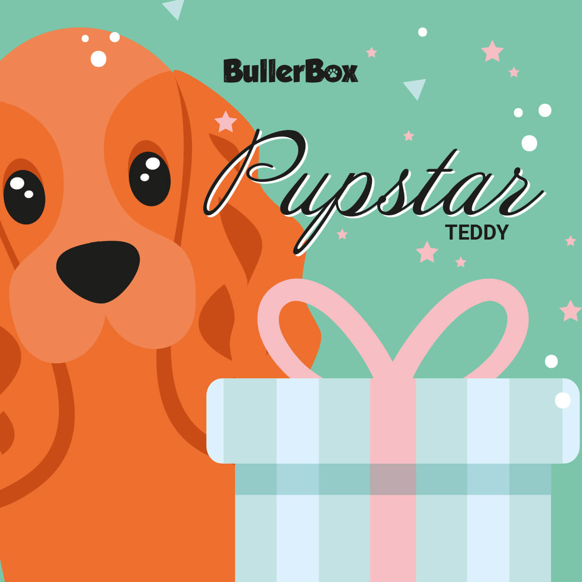 bb0925 40 BullerBox Pupstar bamse