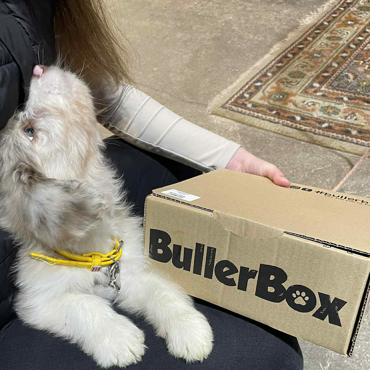 BBX000 BabyBullerBox hvaplepakke 01