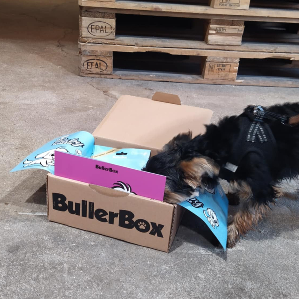 BBX000 BabyBullerBox hvaplepakke 01