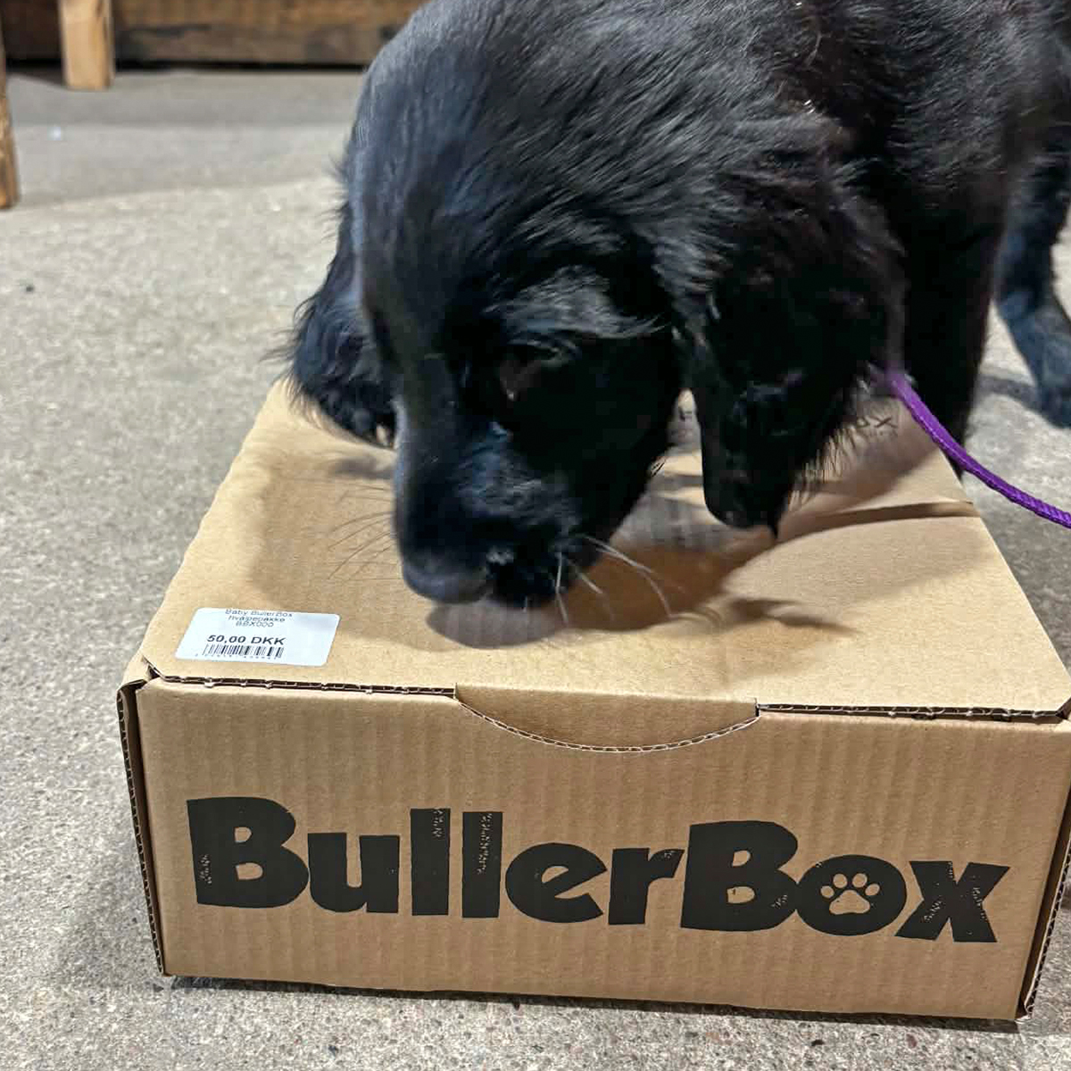 BBX000 BabyBullerBox hvaplepakke 01