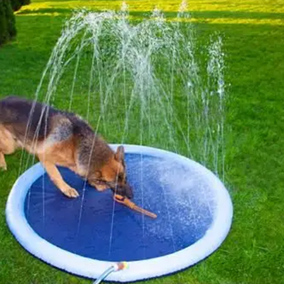 Hundepool med sprinkler 01