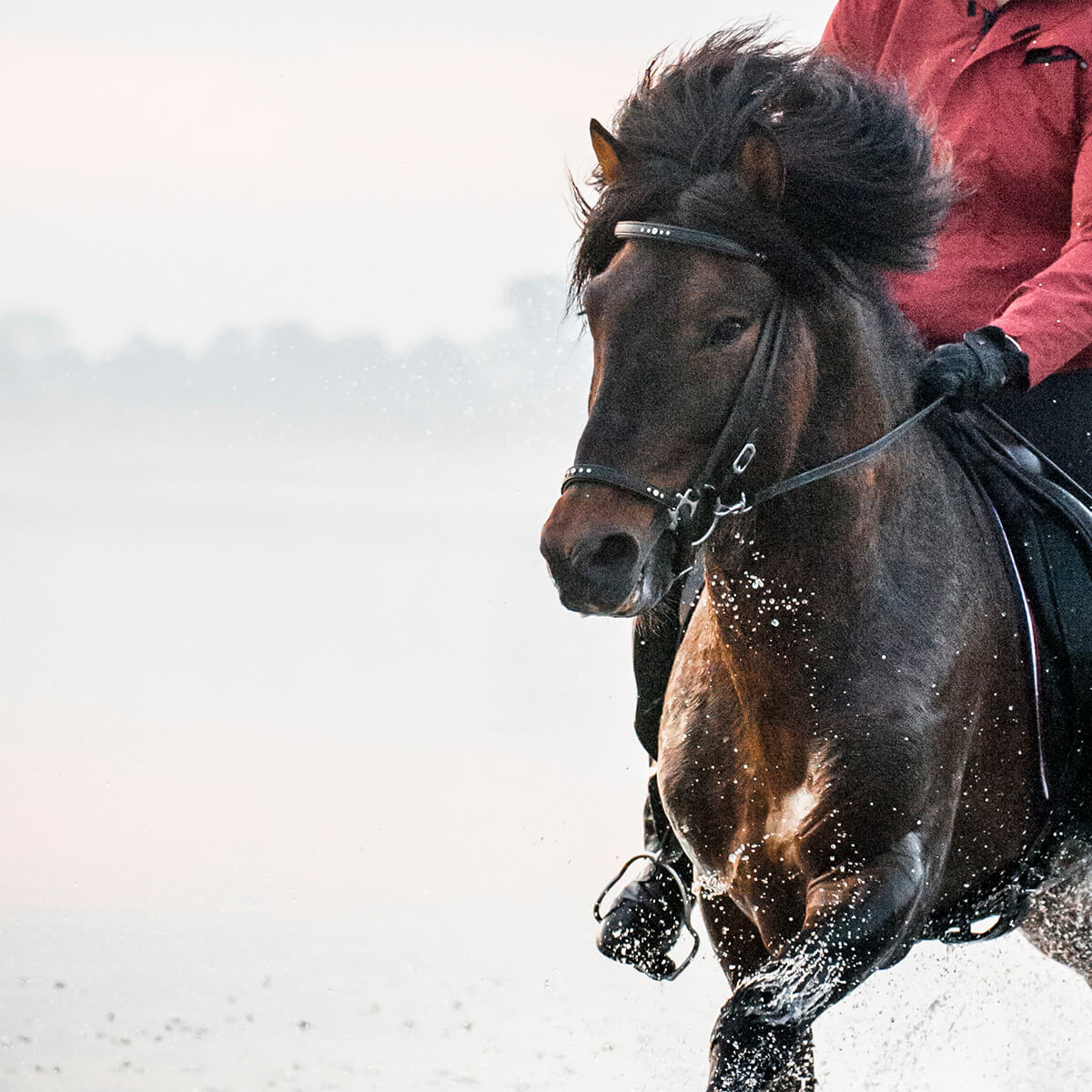 Catago Islændertrense m. klare sten | Sort str. cob