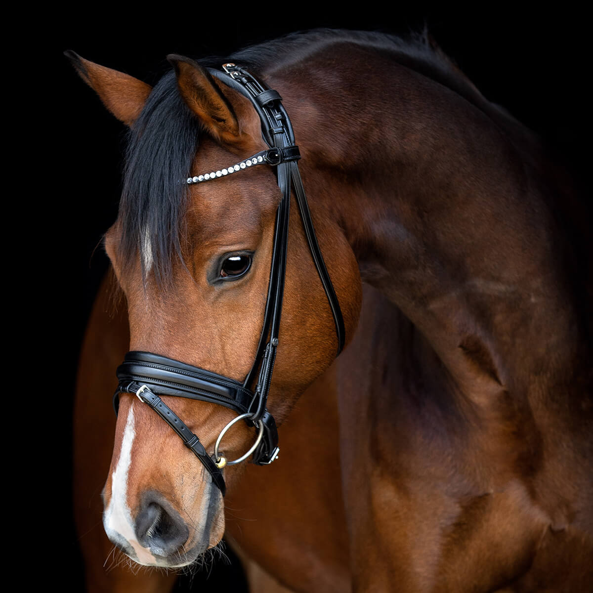 CATAGO Savi trense m. sort forring | Sort