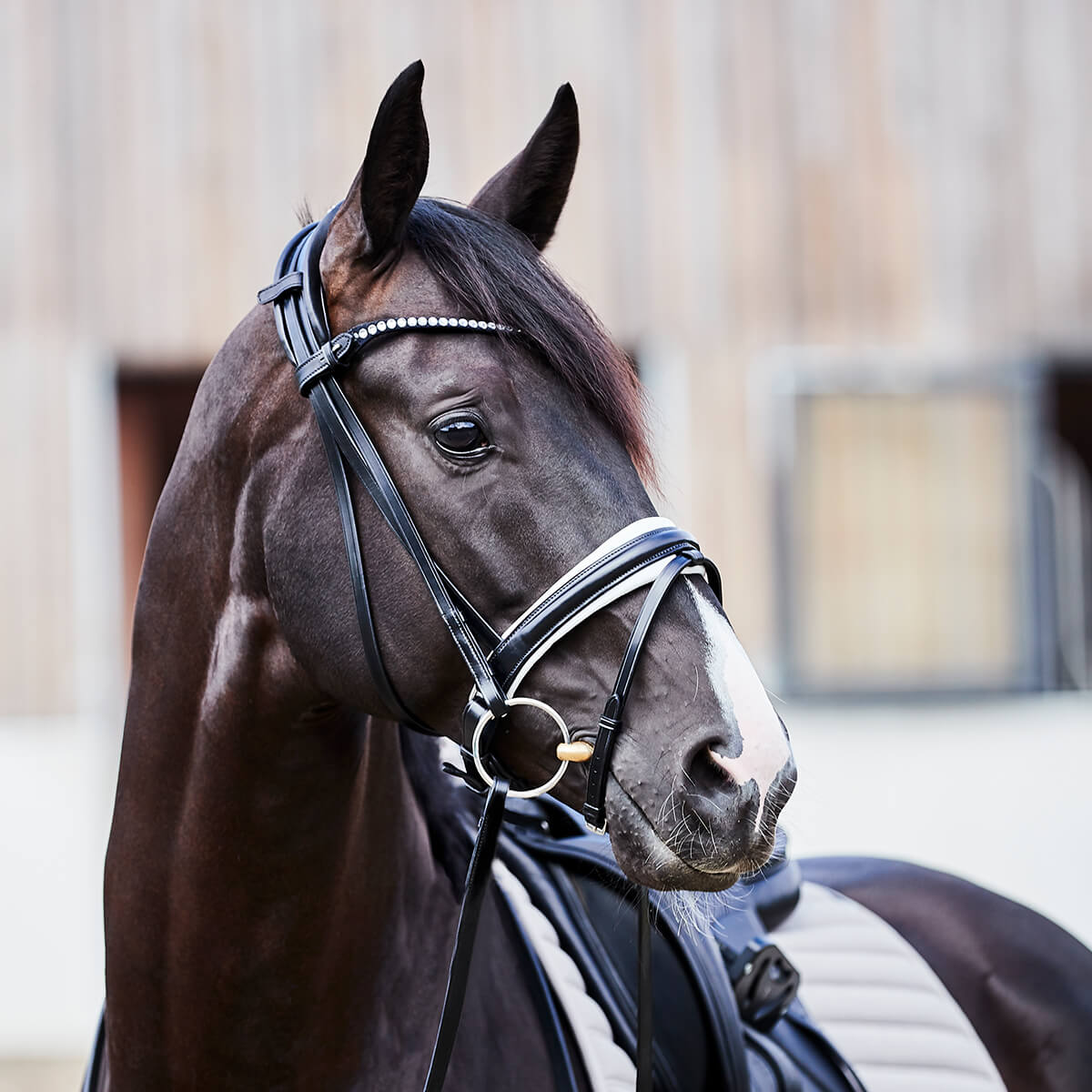 CATAGO Savi trense m. hvid forring | Sort