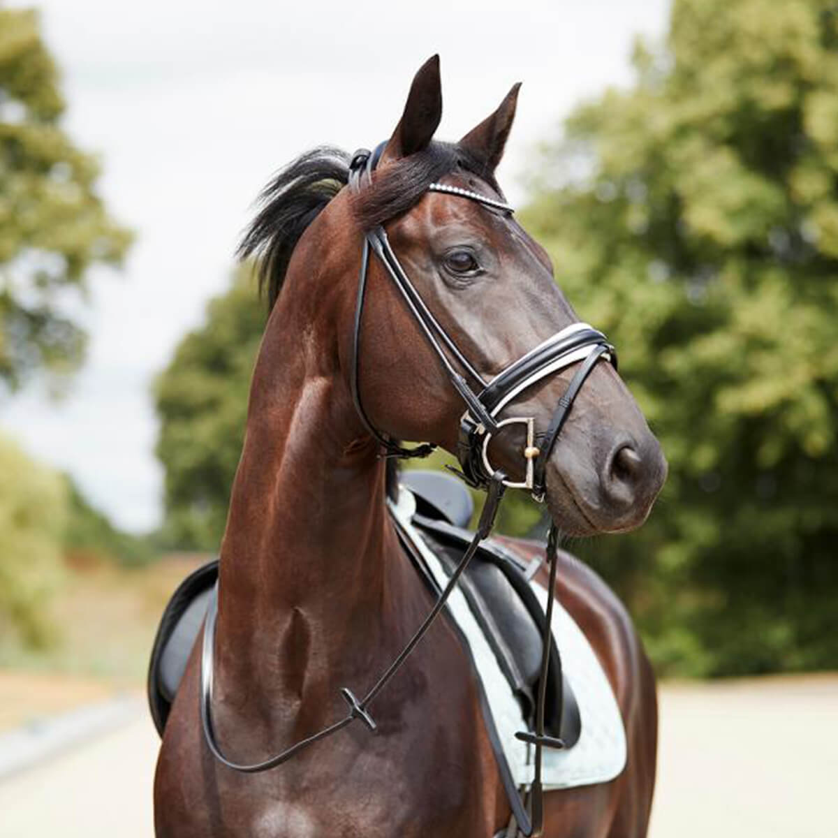 Catago Shay Rundsyet trense m. hvid forring | Sort