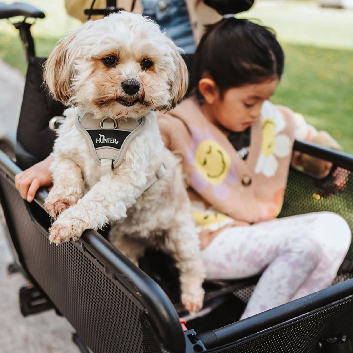 Hunter Divo hundesele taupe 01