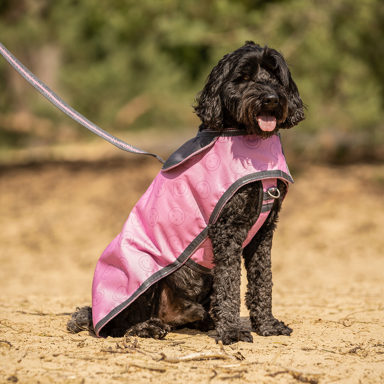 QHP hundesele Cherry Pink 01