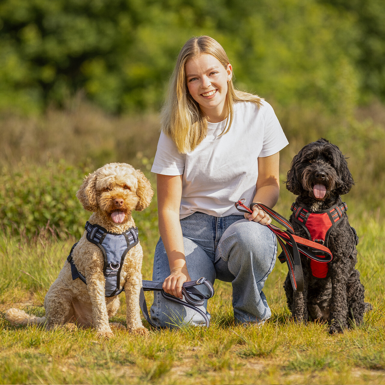 QHP hundesele Sunset Red 01