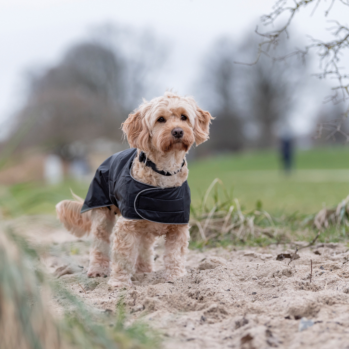 Trixie Hundedaekken Orleans T coat 01