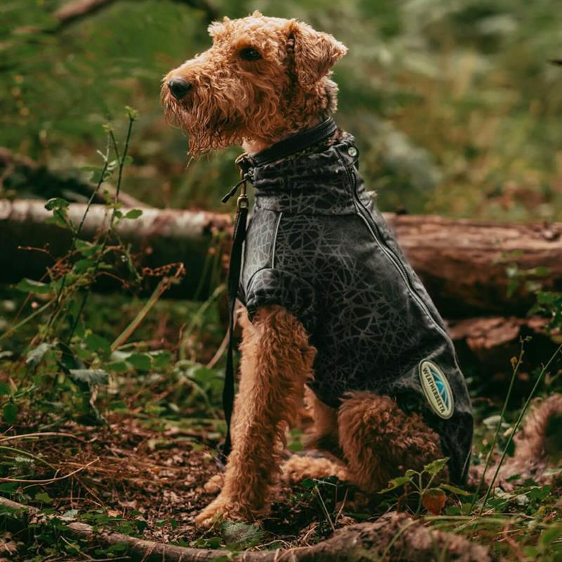 01 V 15249072 01 Weatherbeeta Comfitec active reflekshundedaekken