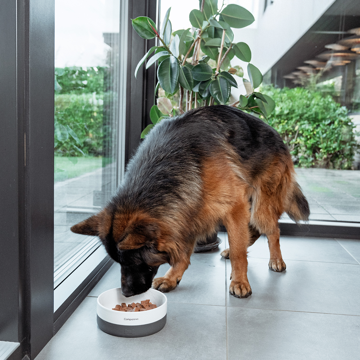 graa Companion Foderskaal med silikone 01