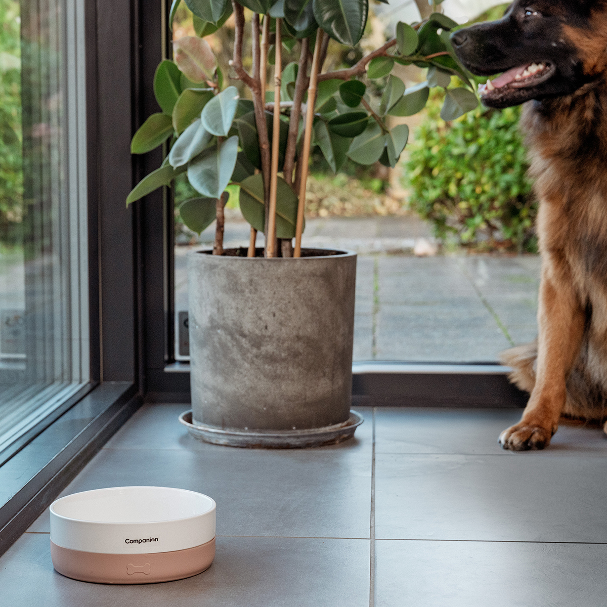 Nude Companion Foderskaal med silikone 01