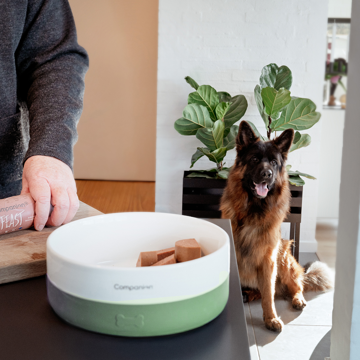 Groen Companion Foderskaal med silikone 01