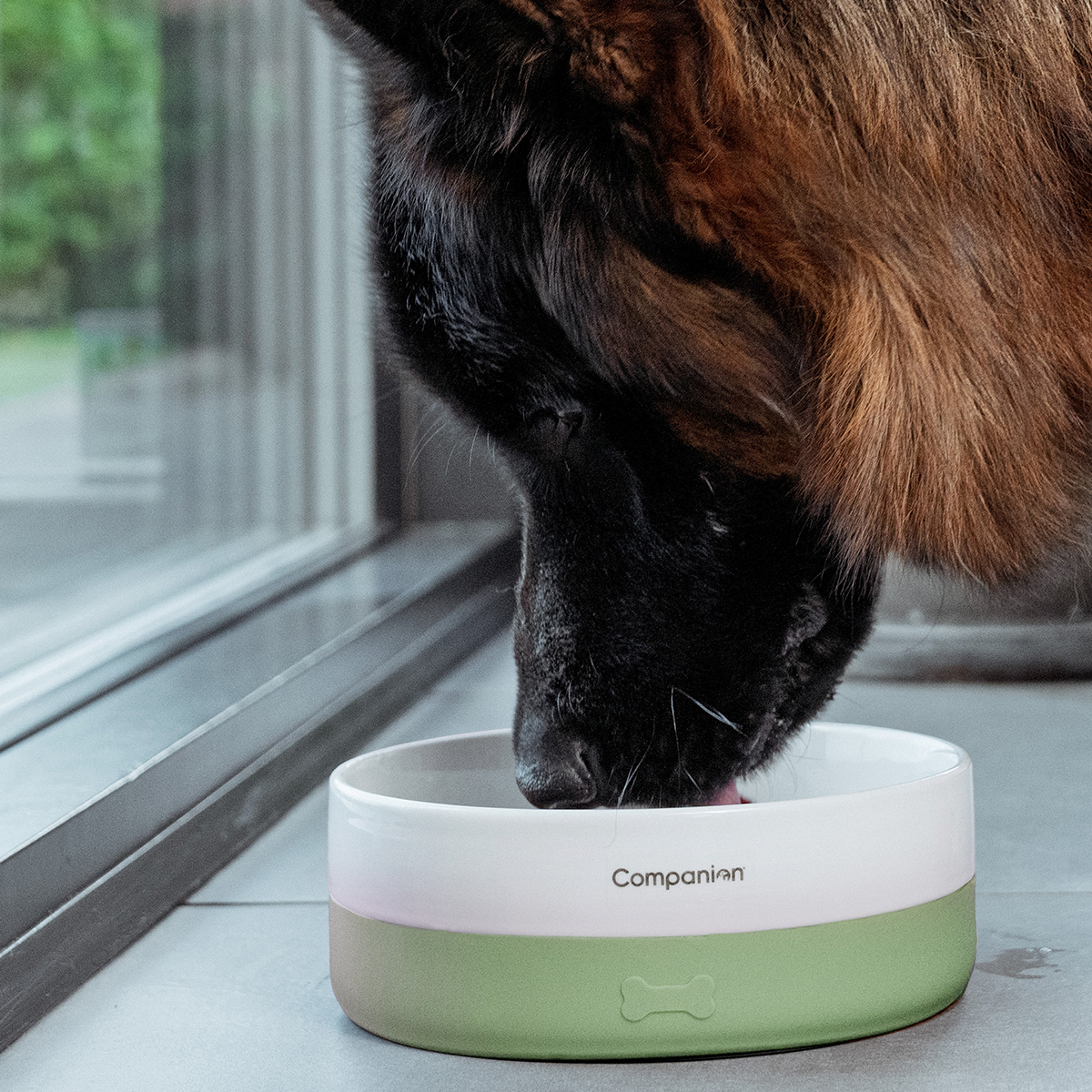 Groen Companion Foderskaal med silikone 01