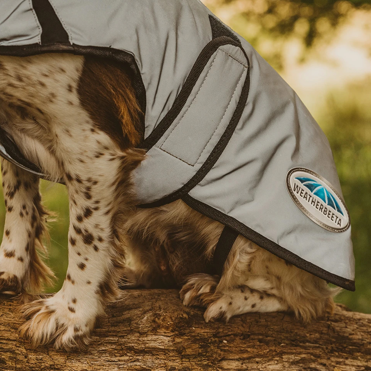 Weatherbeeta Comfitec Refleks hundedaekken 01