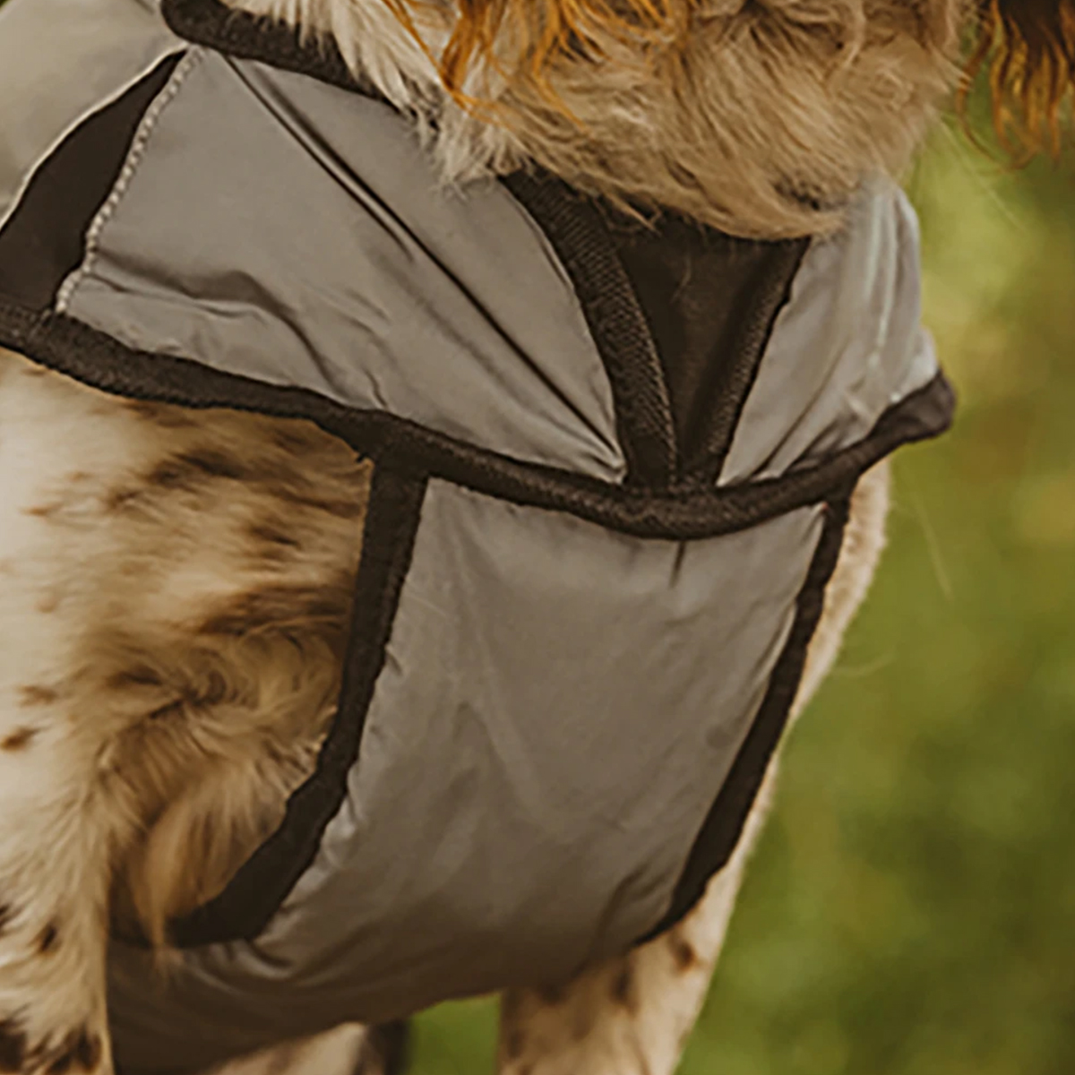 Weatherbeeta Comfitec Refleks hundedaekken 01