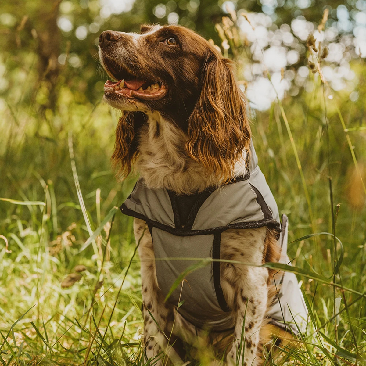 Weatherbeeta Comfitec Refleks hundedaekken 01