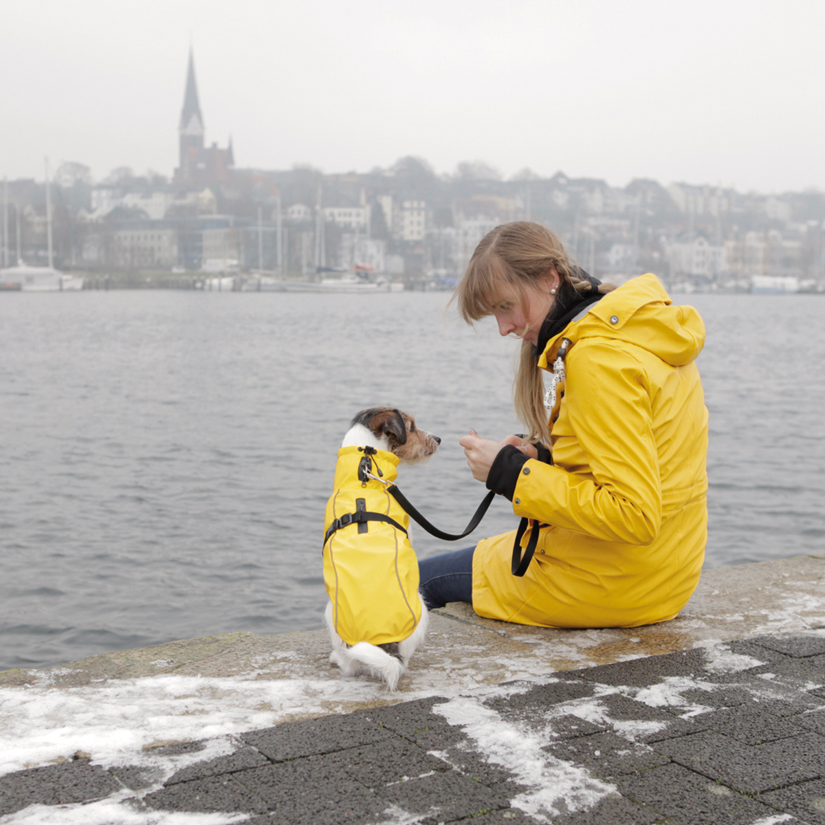 Vimy Regnfrakke til hund 01