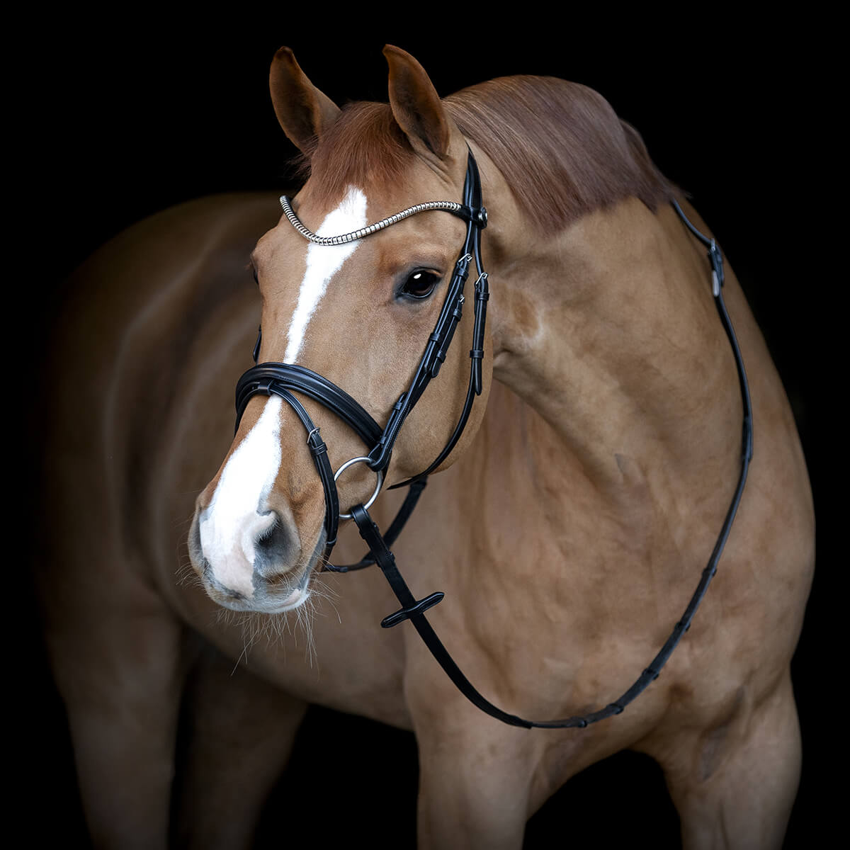 CATAGO Brooklyn trense | Sort