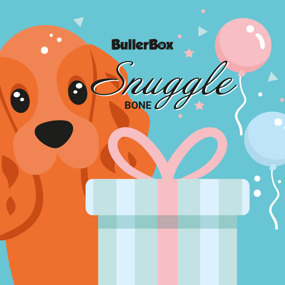 BB0925 10 BullerBox Big SnuggleBone