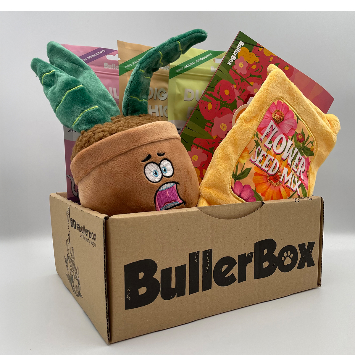 BullerBox Anxious Aloe hunde bamse legetoej 01