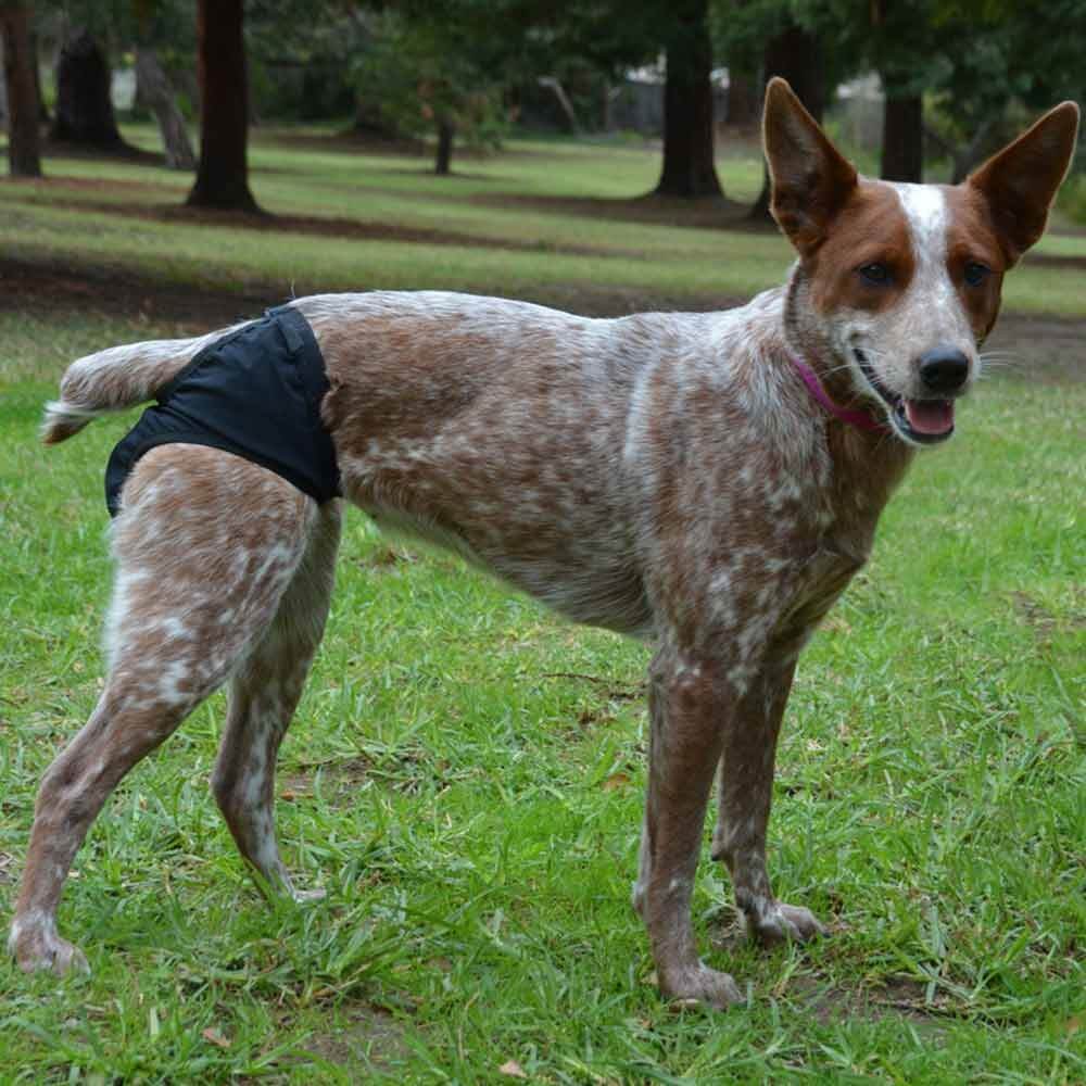 hurtta løbetidsbukser sort 01