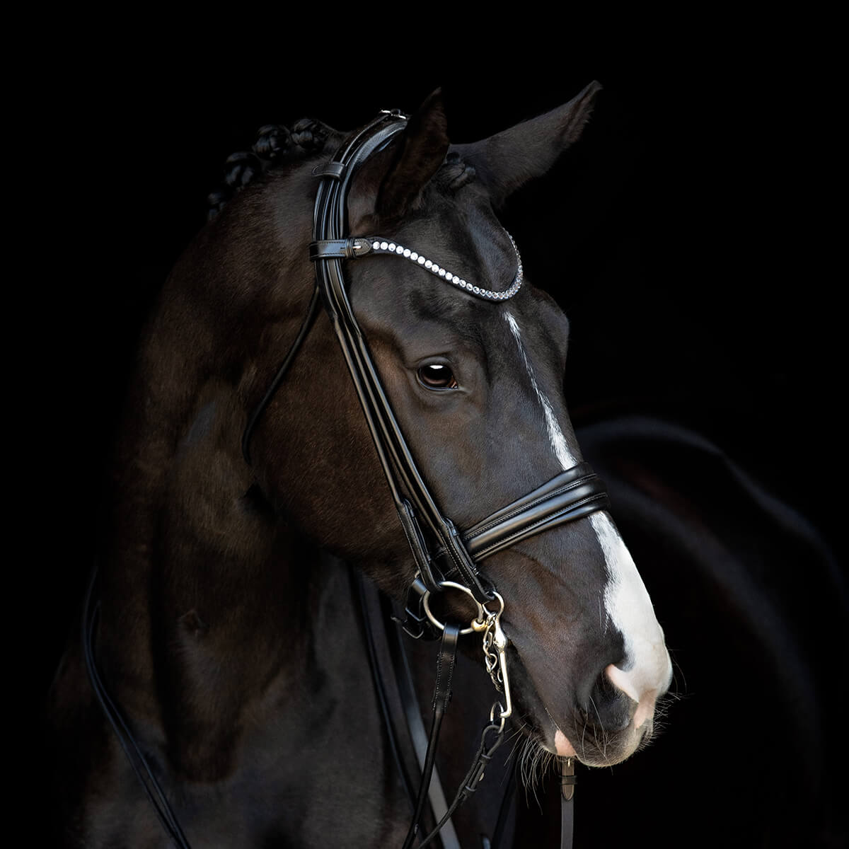 Catago Santo rundsyet kandar | Sort