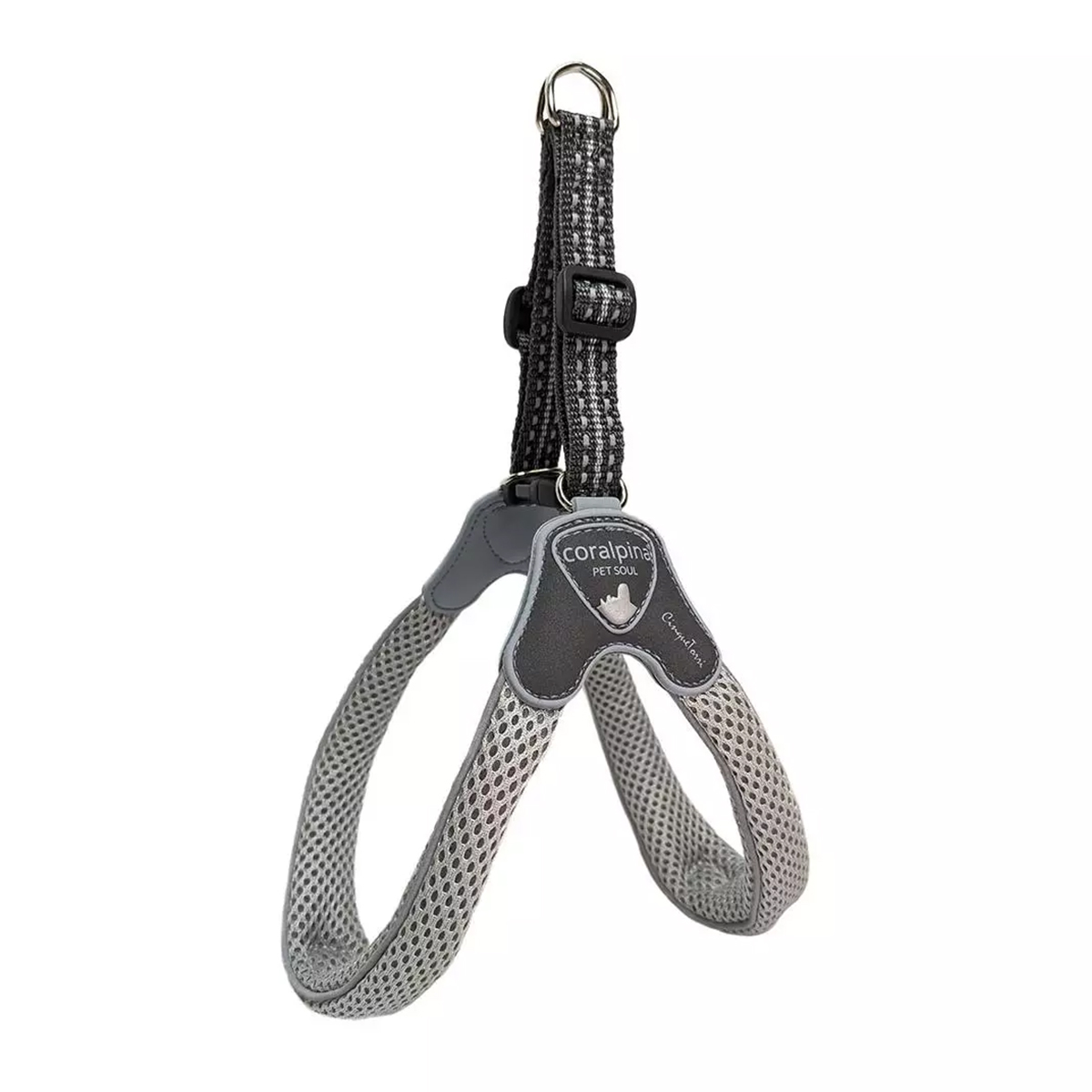 coralpina Cinquetorri hundesele 01