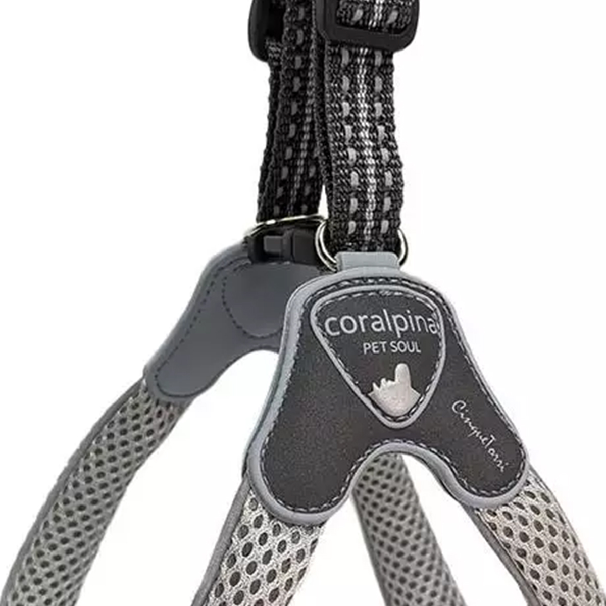 coralpina Cinquetorri hundesele 01