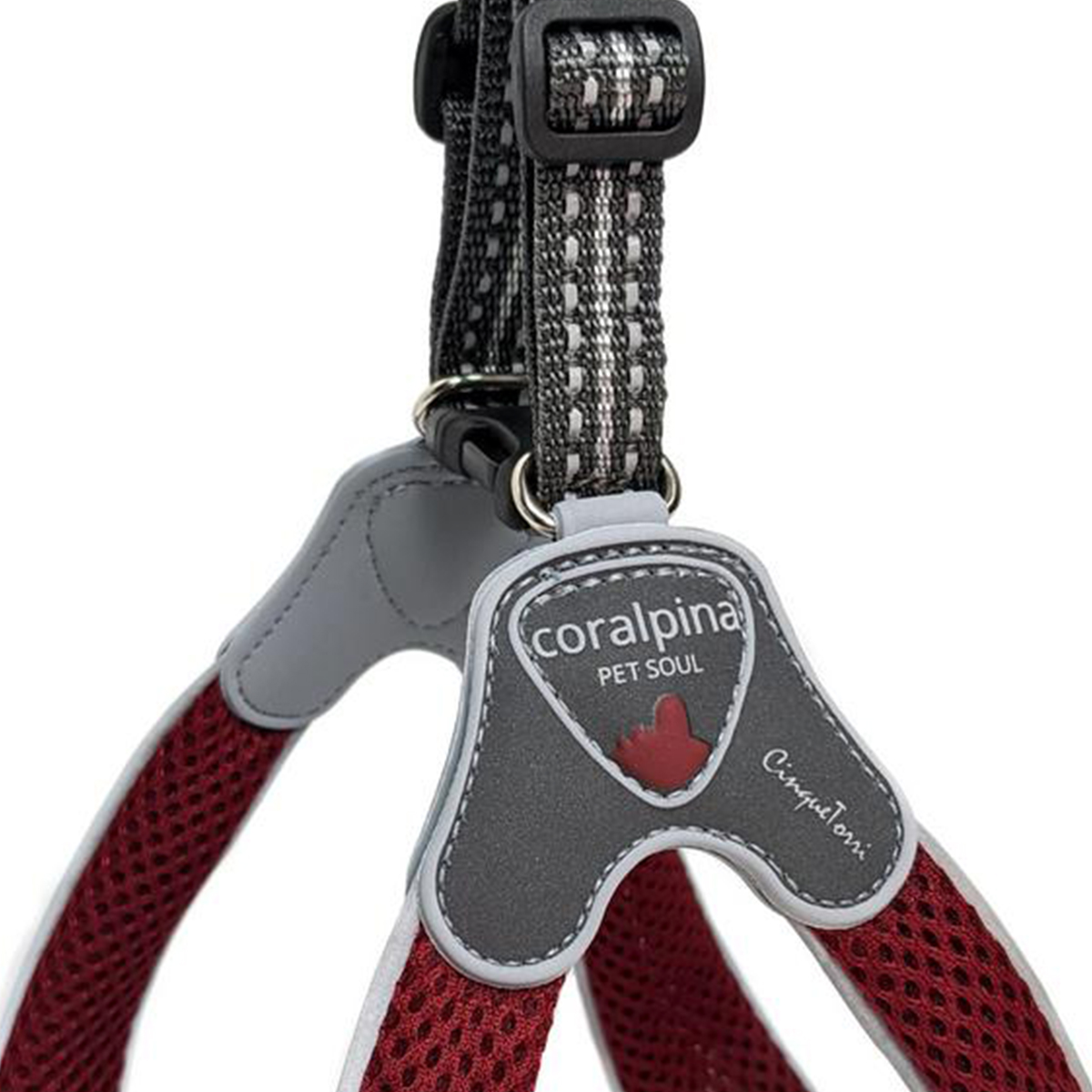 Cinquetorri hundesele Bordeaux 01