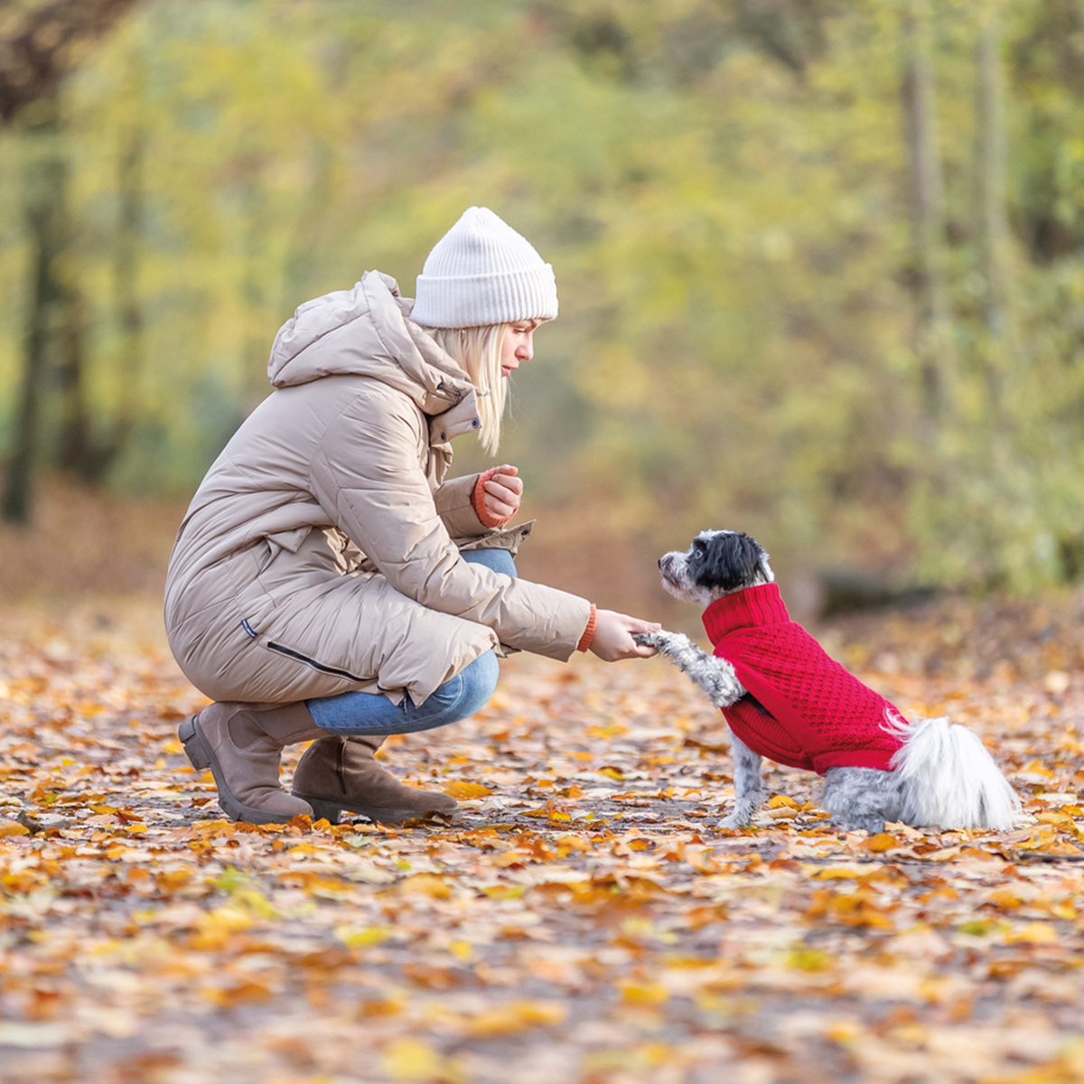 Norwood pullover til hund roed 01