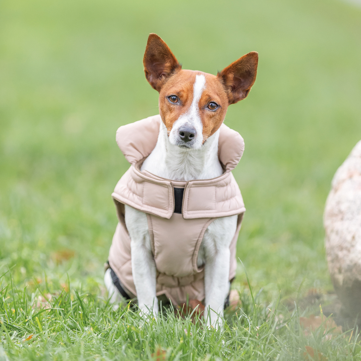 Trixie Lesmont vinter daekken til hund blush 01