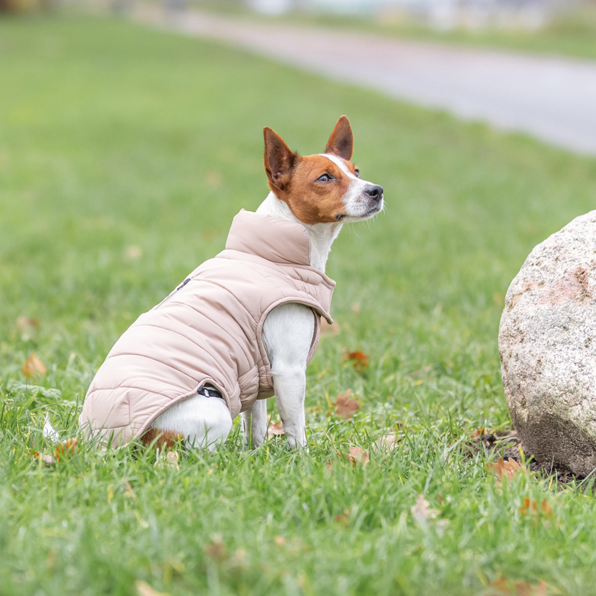 Trixie Lesmont vinter daekken til hund blush 01